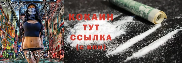 прущая мука Арсеньев