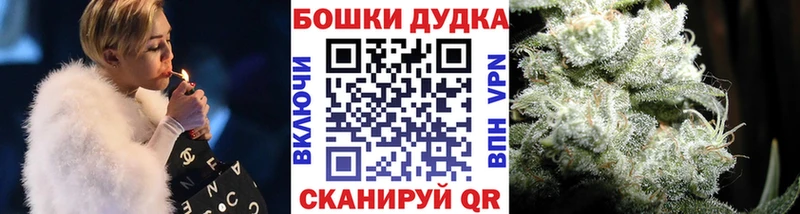 площадка какой сайт  Шебекино  Каннабис план  купить наркоту 